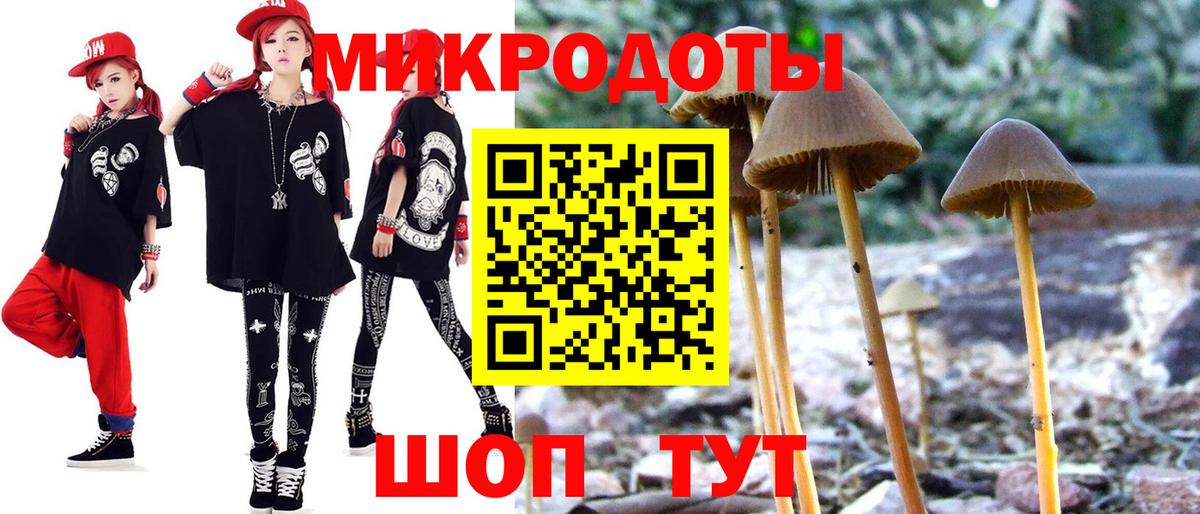 Псилоцибиновые грибы мицелий  купить   Тара  Вход с VPN 